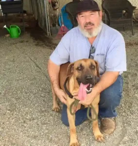 Are Black Mouth Curs Good Family Dogs