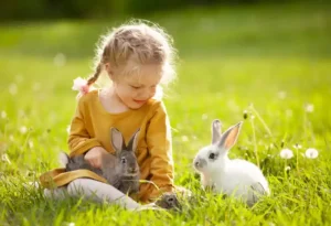 Do Havana Rabbits Make Good Pets?